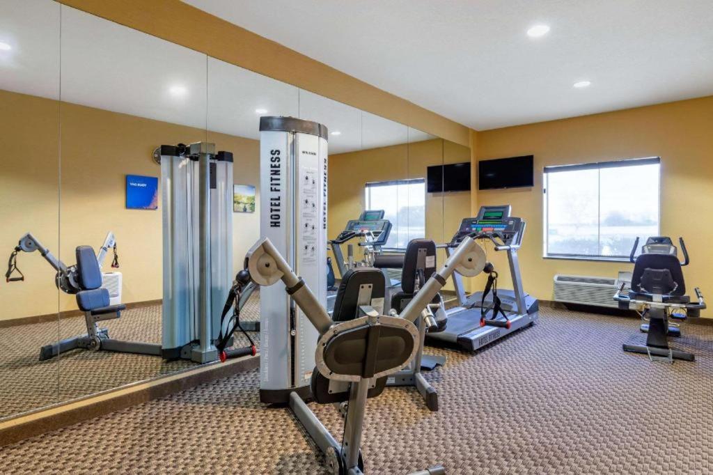 Comfort Inn & Suites Navasota Extérieur photo