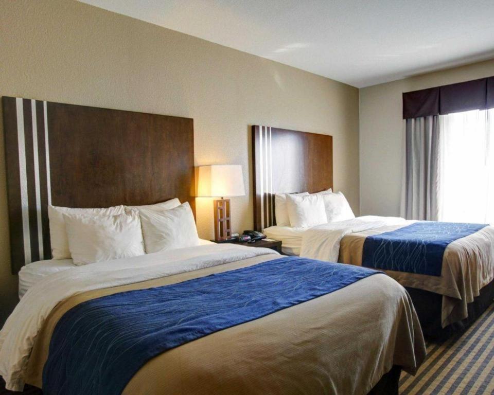 Comfort Inn & Suites Navasota Extérieur photo