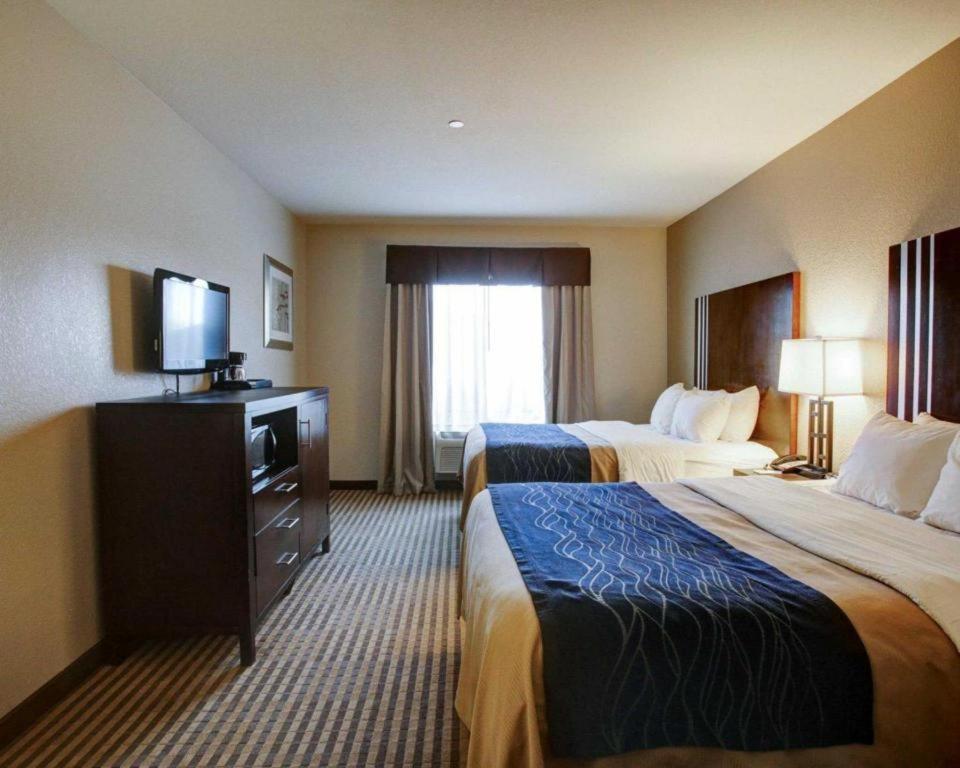 Comfort Inn & Suites Navasota Extérieur photo
