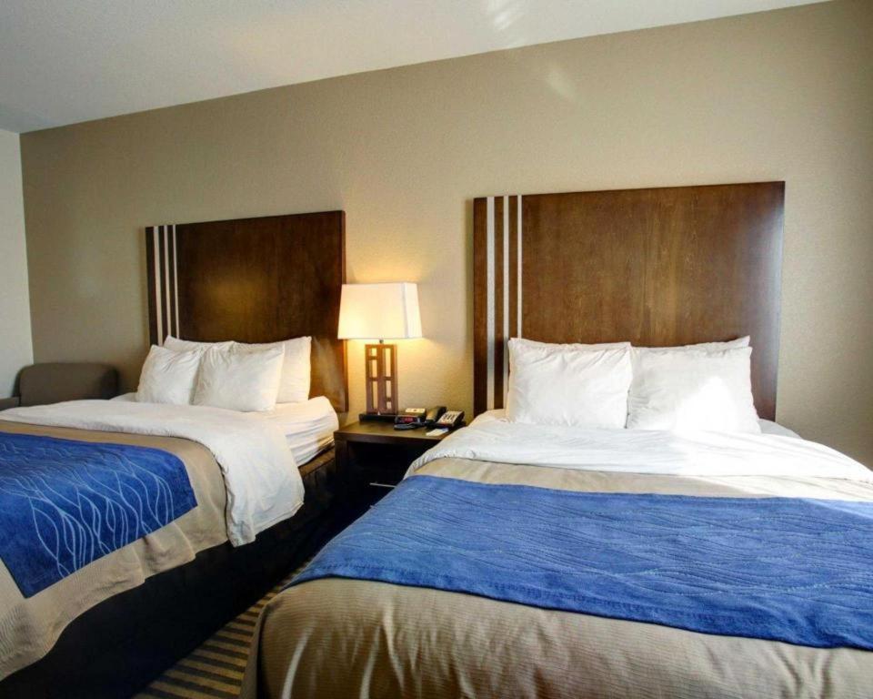 Comfort Inn & Suites Navasota Extérieur photo