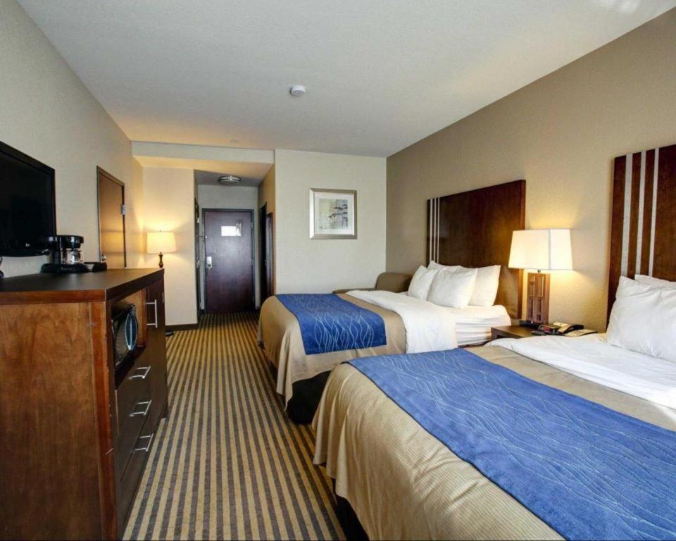 Comfort Inn & Suites Navasota Extérieur photo