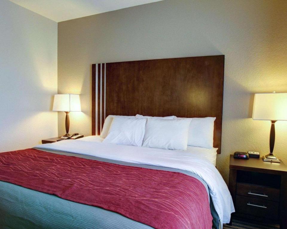 Comfort Inn & Suites Navasota Extérieur photo