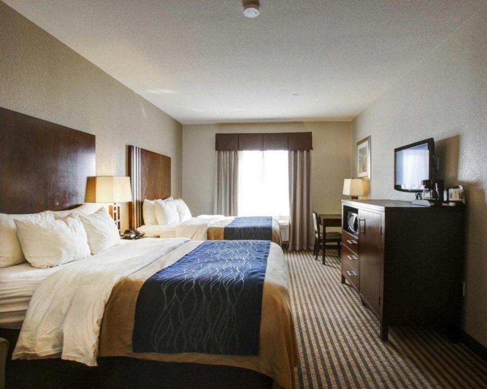 Comfort Inn & Suites Navasota Extérieur photo