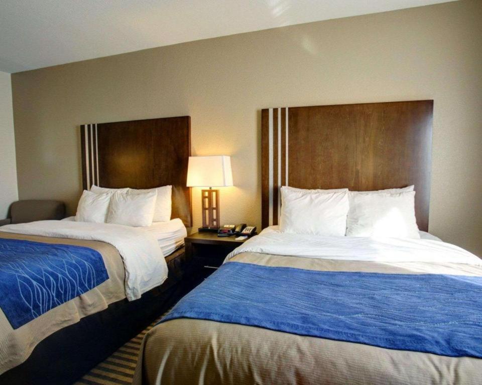 Comfort Inn & Suites Navasota Extérieur photo