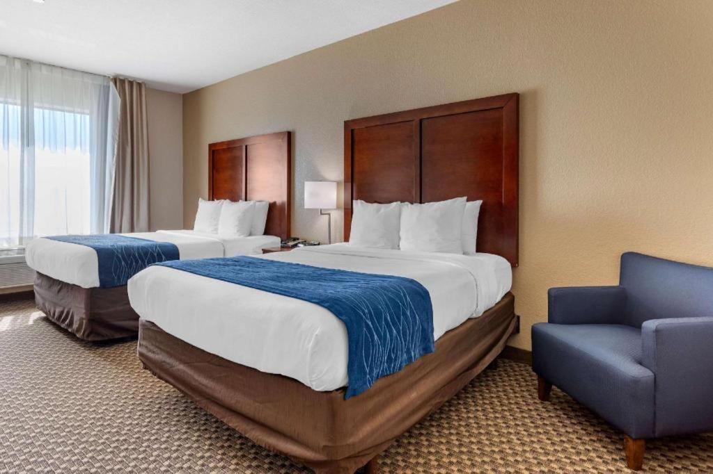 Comfort Inn & Suites Navasota Extérieur photo