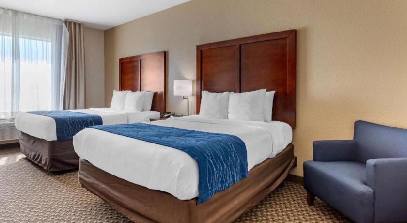 Comfort Inn & Suites Navasota Extérieur photo