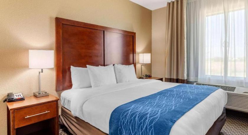 Comfort Inn & Suites Navasota Extérieur photo