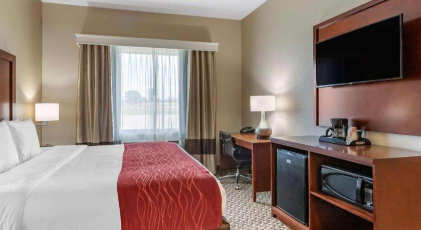 Comfort Inn & Suites Navasota Extérieur photo
