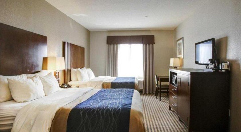 Comfort Inn & Suites Navasota Extérieur photo