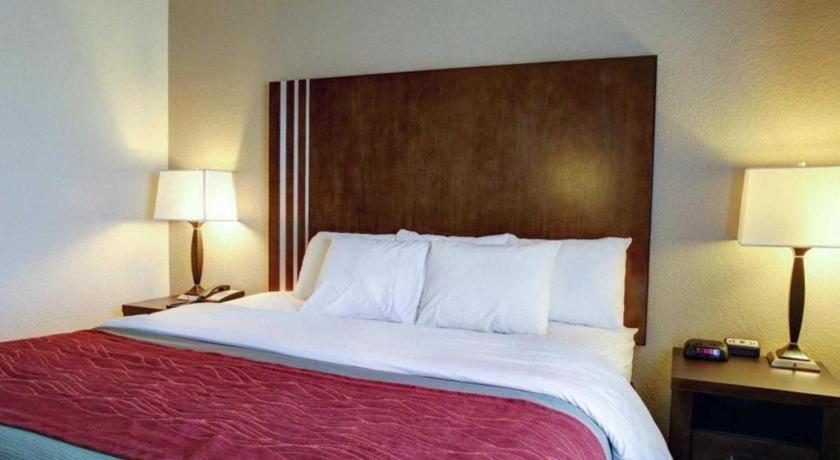 Comfort Inn & Suites Navasota Extérieur photo