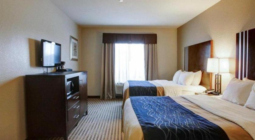Comfort Inn & Suites Navasota Extérieur photo