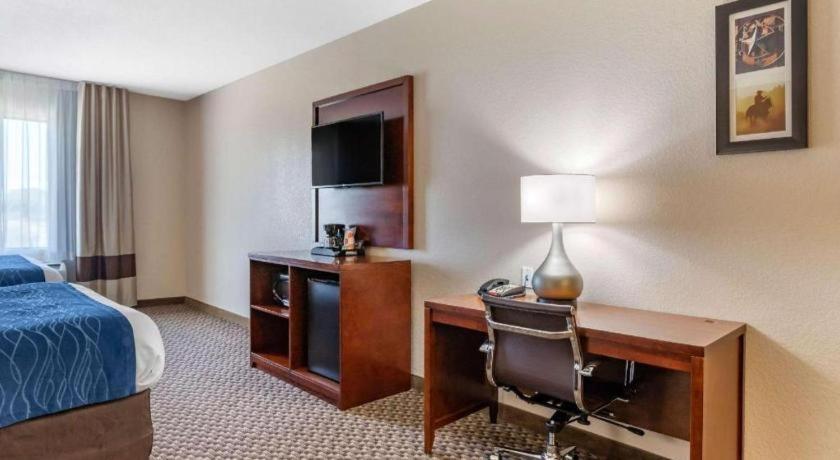 Comfort Inn & Suites Navasota Extérieur photo