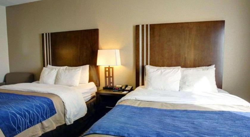 Comfort Inn & Suites Navasota Extérieur photo